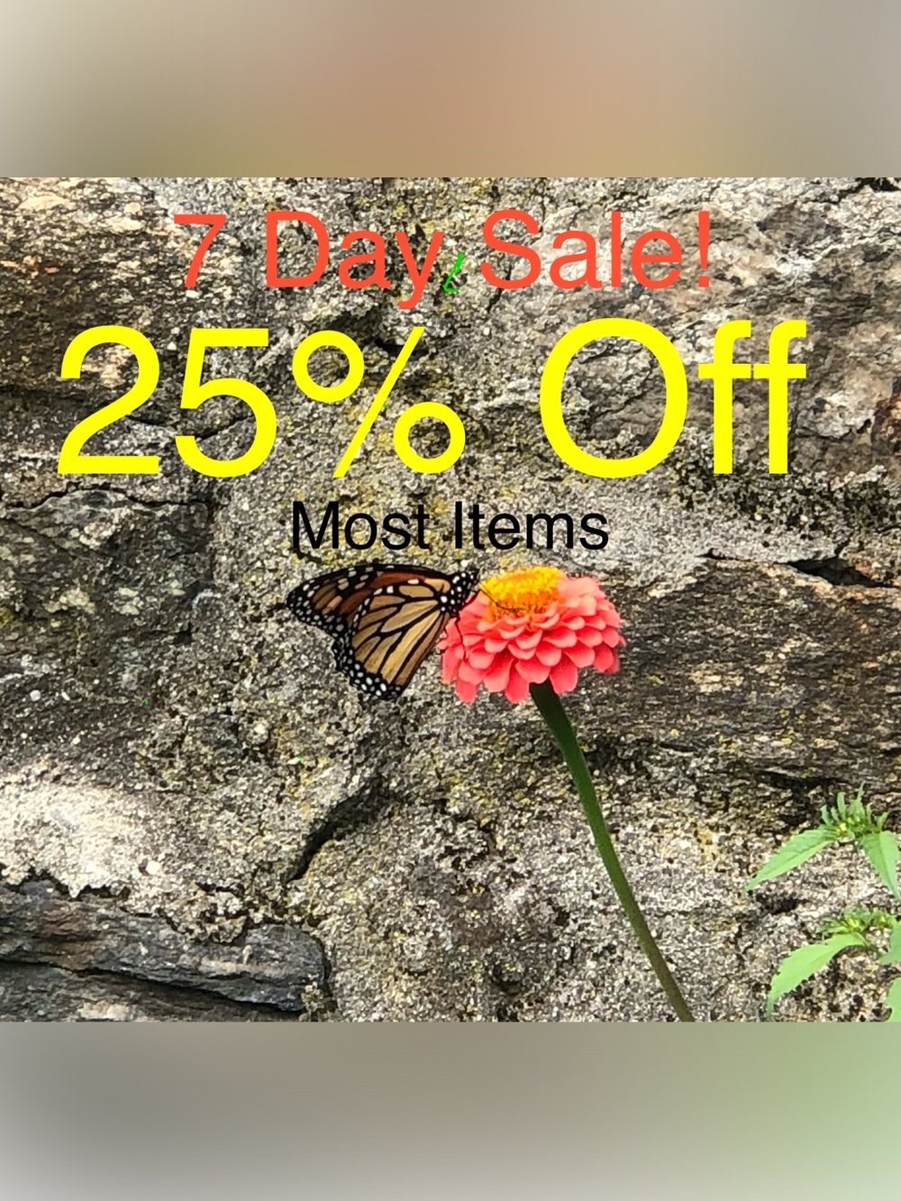 Making Space Sale!